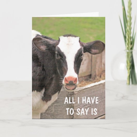 Funny Bossy-Koe komt goed Kaart (Voorkant)