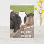 Funny Bossy-Koe komt goed Kaart (Gele Bloem)