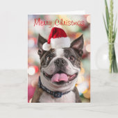 Funny Boston Terreir met Santa Hat Feestdagen Kaart (Voorkant)