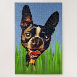 Funny Boston Terrier 1014 Piece Puzzle Legpuzzel
