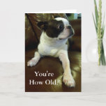 Funny Boston Terrier Birthday Card (Redding voor d Kaart<br><div class="desc">Deze kaart is voorzien van een schattige Boston Terrier die zich comisch gechoqueerd voelt door je leeftijd te ontdekken en perfect zou zijn voor iedereen die een grappige verjaardagskaart of zelfs maar een dagelijkse dosis schattig nodig heeft. Bovendien wordt 5% van de royalty's van elke verkoop gedoneerd om dieren te...</div>