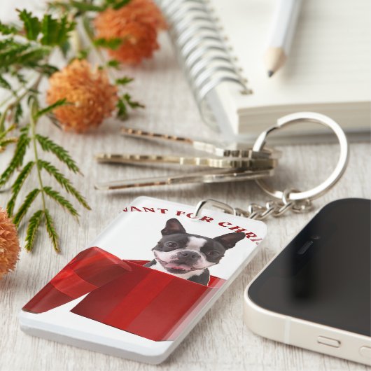 Funny Boston Terrier Gift for Pet Lover Sleutelhanger (Voorkant Rechts)