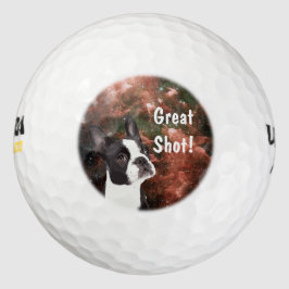 Funny Boston Terrier in Space Golf Ball Golfballen