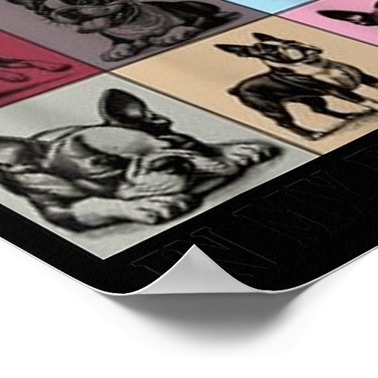 Funny Boston Terrier Quote In My Boston Terrier Er Poster (Hoek)