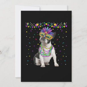Funny Boston Terrier Wearing Carnival Mask Mardi Aankondiging