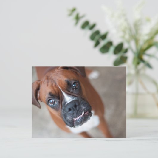 Funny boxer briefkaart (Staand voorkant)