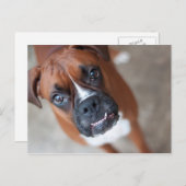 Funny boxer briefkaart (Voorkant / Achterkant)