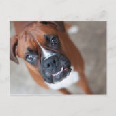 Funny boxer briefkaart (Voorkant)