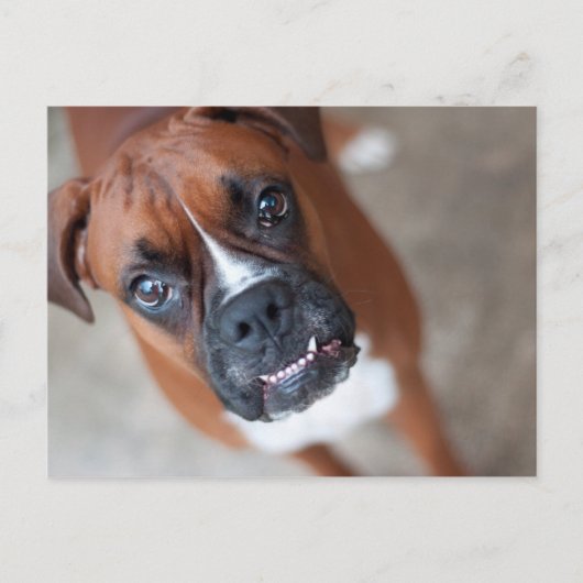 Funny boxer briefkaart (Voorkant)