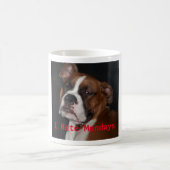 Funny Boxer Dog 'I Hate Mondays' Mok van nieuwheid (Center)