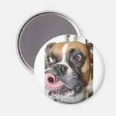 Funny Boxer Dog Magneet (Voorkant / Achterkant)