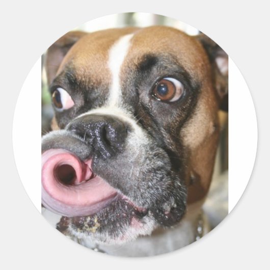 Funny Boxer Dog Ronde Sticker (Voorkant)