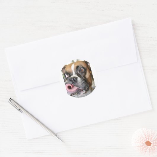 Funny Boxer Dog Ronde Sticker (Envelop)