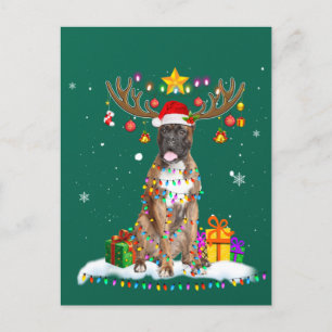 Funny Boxer Dog T-shirt Reindekerst Briefkaart