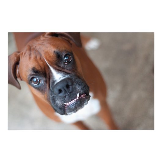 Funny boxer foto afdruk (Voorkant)