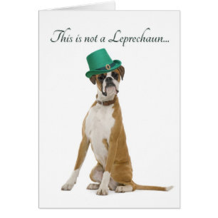 Funny Boxer Leprechaun Card