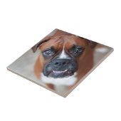 Funny boxer tegeltje (Zijkant)