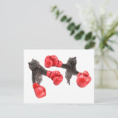 Funny boxing cats briefkaart (Staand voorkant)