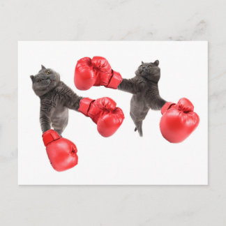 Funny boxing cats briefkaart