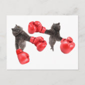Funny boxing cats briefkaart (Voorkant)