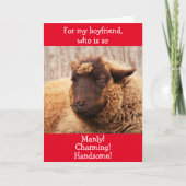 Funny BoyVriend Sheep Valentijnse Holiday Kaart (Voorkant)