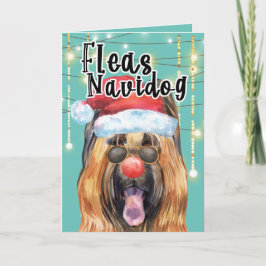 Funny Briard-hond in licht vlooienhond Kaart
