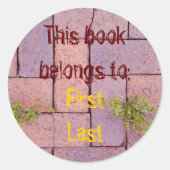 Funny Brick Walkway Photoplaat Ronde Sticker (Voorkant)