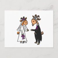 Funny Bride en Groom Goat Wedding