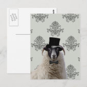 Funny bridegroom schaap bovenin briefkaart (Voorkant / Achterkant)