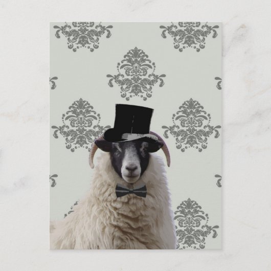 Funny bridegroom schaap bovenin briefkaart (Voorkant)