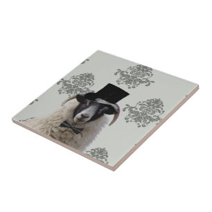 Funny bridegroom schaap bovenin tegeltje