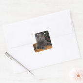 Funny British cat and christmas tree Vierkante Sticker (Envelop)
