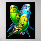 Funny Budgie Budgerigar Design  Poster (Voorkant)