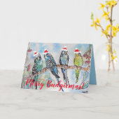 Funny Budgie Budgerigar Vrolijk Kerstfeest Kaart (Gele Bloem)