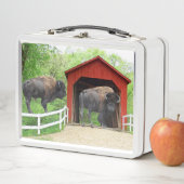 Funny Buffalo aan de rode bedekte brug (In situ)