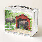 Funny Buffalo aan de rode bedekte brug (Achterkant)