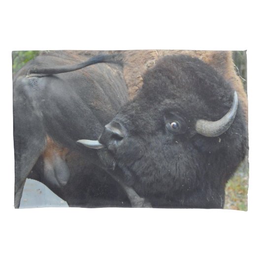 Funny Bull Bison met zijn testikels Kussensloop (Voorkant)