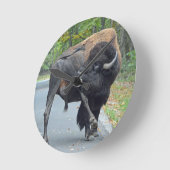 Funny Bull Bison met zijn testikels Ronde Klok (Hoek)