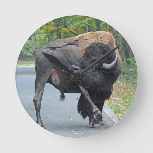 Funny Bull Bison met zijn testikels Ronde Klok (Voorkant)