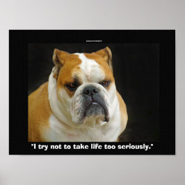 Funny Bull Dog Pet-liefhebbers Demotivationeel Pos Poster