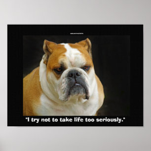 Funny Bull Dog Pet-liefhebbers Demotivationeel Pos Poster