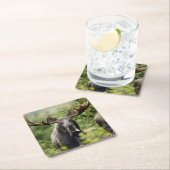 Funny Bull Moose Kartonnen Onderzetters (Insitu)