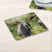 Funny Bull Moose Kartonnen Onderzetters (Schuin)