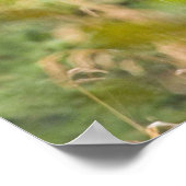 Funny Bull Moose Poster (Hoek)