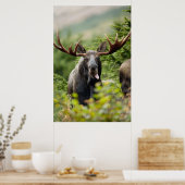 Funny Bull Moose Poster (Keuken)