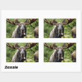 Funny Bull Moose Rechthoekige Sticker (Vel)