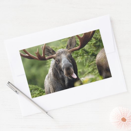 Funny Bull Moose Rechthoekige Sticker (Envelop)