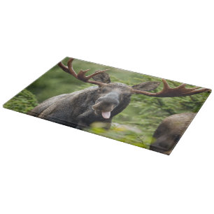 Funny Bull Moose Snijplank