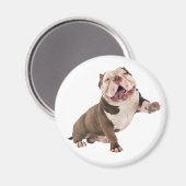 Funny Bulldog American Bully Love Puppy Dog Magneet (Voorkant / Achterkant)