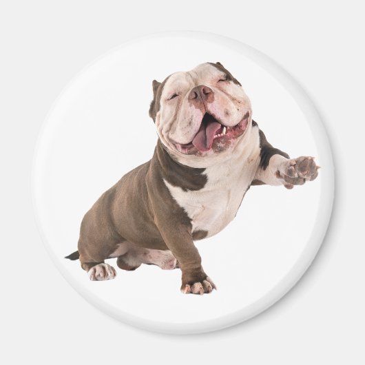 Funny Bulldog American Bully Love Puppy Dog Magneet (Voorkant)